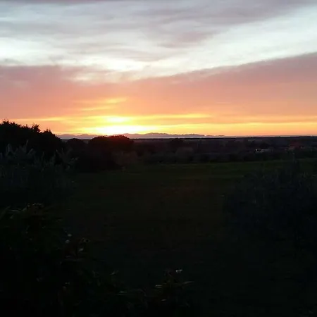 Campo Alle