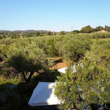 דירה Campo Alle *