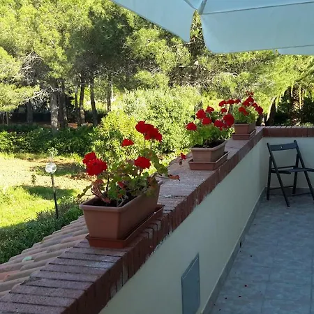 Campo Alle *