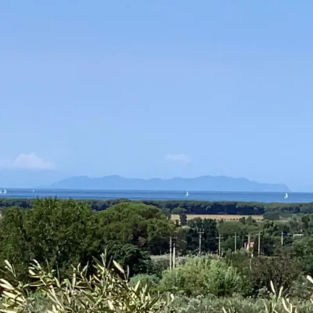 Campo Alle