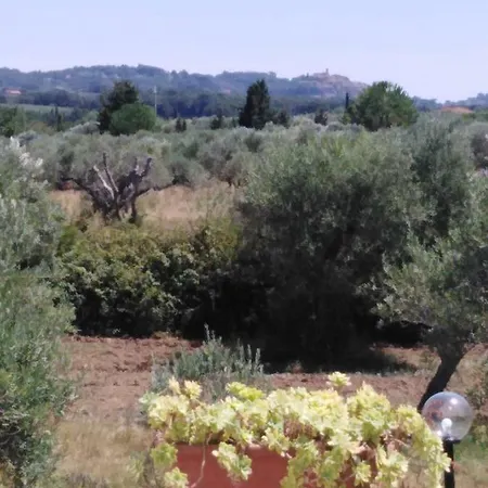 Campo Alle *