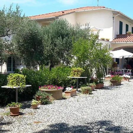 Campo Alle