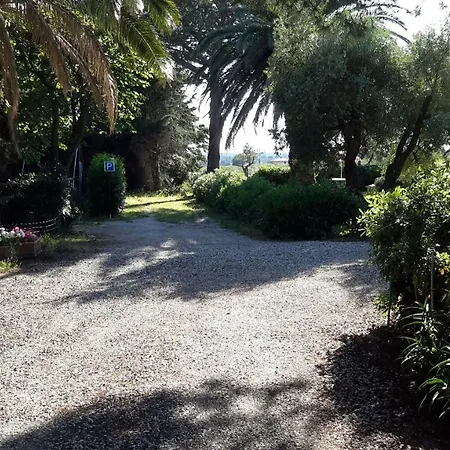 Campo Alle تشيزينا