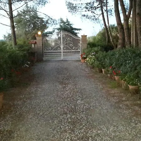 Campo Alle * تشيزينا