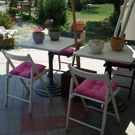Campo Alle * تشيزينا