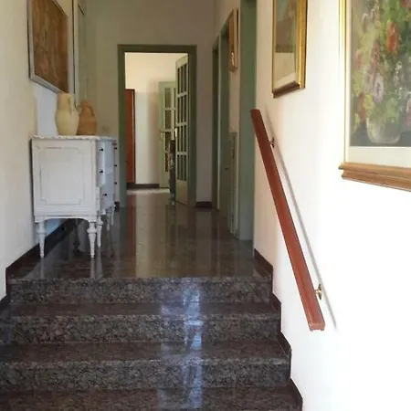Campo Alle