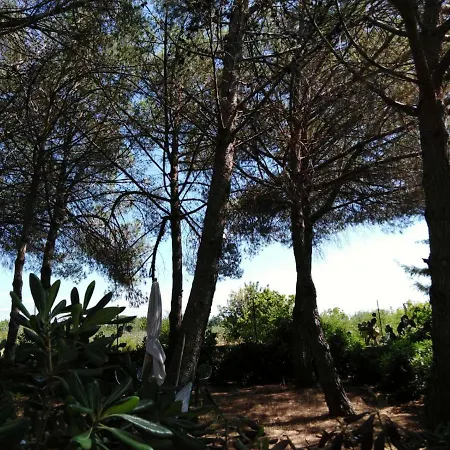 Daire Campo Alle